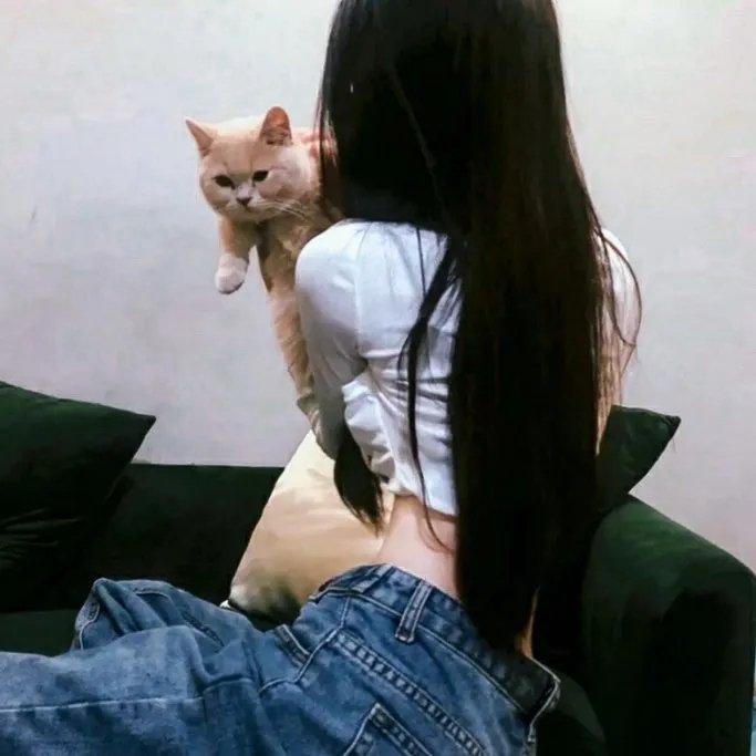 我们的英摇时光